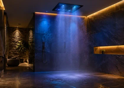 experience shower chromotherapy spa
